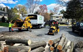 Best Lawn Renovation and Restoration  in Upper Grand Lagoon, FL